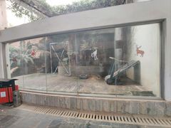-南昌动物园