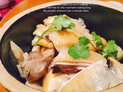 灵芝鸡(水蒸鸡)-园林美食城·本土农家菜(杨和镇店)