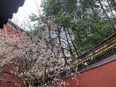 -钱王祠