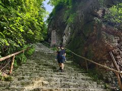 -天女山森林公园