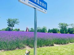-同里国家湿地公园