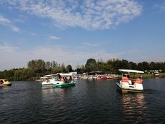 -杭州湾海上花田景区