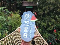 -青青世界