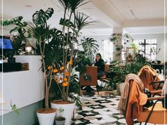 大堂-一尺花园(安和花园店)