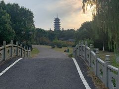 -宜兴龙背山森林公园