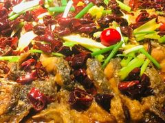 -老板恋上鱼(高新万达店)