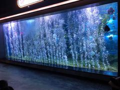 -顺德南宏海立方海洋公园