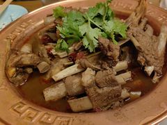 -友乐居羊蝎子(西直门店)