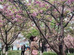 -西安青龙寺遗址景区