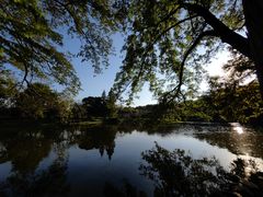 -上海共青森林公园