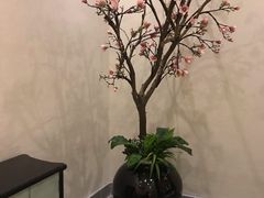 -添赐温泉馆(上南路店)