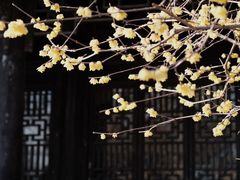 -清晏园