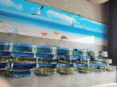 -蓝珊甄选海鲜自助·火锅大排档(近阿那亚店)