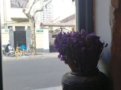 -Apollo·西班牙小酒馆(安福路店)