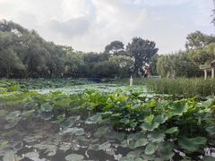 -北陵公园
