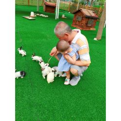 -萌宠亲子动物乐园(槐房万达店)