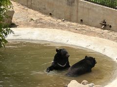 -石家庄市动物园