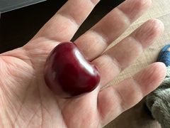 -胡麻地果研所(兰州中心BM店)