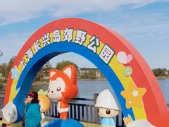 -上海长兴岛郊野公园