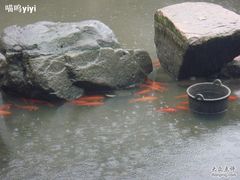 -杭州世外桃源君澜度假酒店
