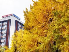 -四川大学(华西校区)