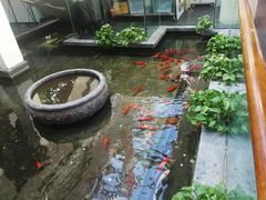 -旺顺阁鱼头泡饼(小红门店)