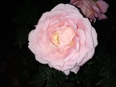 -人民公园(罗湖区)