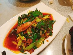 -陈麻婆豆腐总店