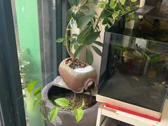 -辛氏推拿(翰林华府店)
