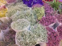 -全家便利店(沪青平公路四店)