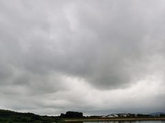 -大塘金香草谷