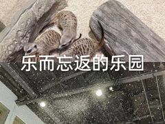 -Mr·Kuma酷么先生雪之乐园