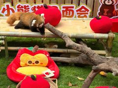-常州淹城野生动物世界