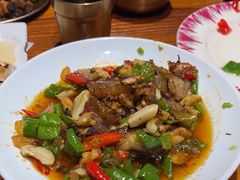 -柴窝堡22号辣子鸡·传承新疆菜