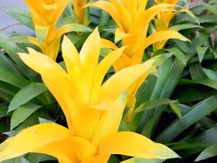 -北京植物园-展览温室