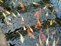 -龙达温泉生态城