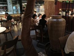 -三强鸽子(中原路店)