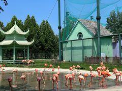 -秦皇岛野生动物园