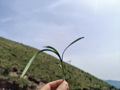-灵山