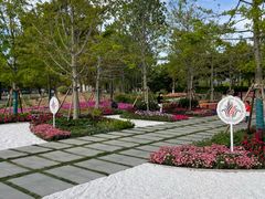 -春花秋色城市公园