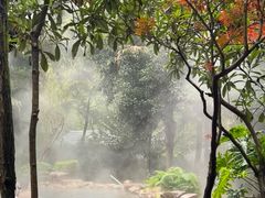 -融汇温泉
