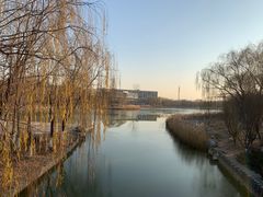 -大兴滨河森林公园