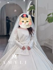 -艾米丽婚纱礼服