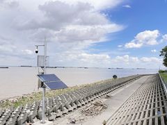 -上海滨江森林公园