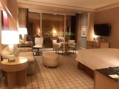 -拉斯维加斯永利酒店