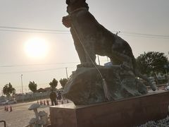 -上海野生动物园