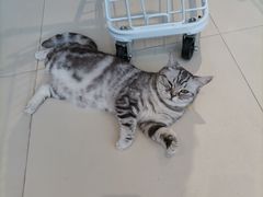 -怪兽屋·羊驼·猫咖·狗咖(俊华广场店)