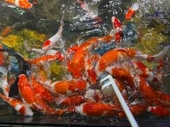 -太平洋海底世界