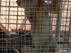 -石家庄市动物园