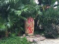 -三亚珠江南田温泉度假区